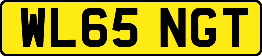 WL65NGT