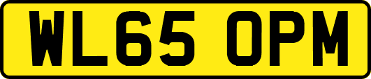 WL65OPM