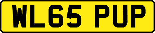 WL65PUP