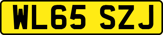 WL65SZJ
