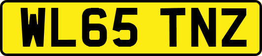 WL65TNZ