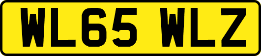 WL65WLZ