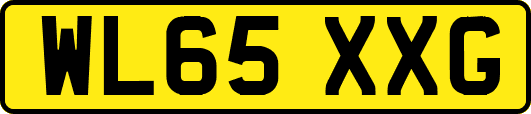 WL65XXG
