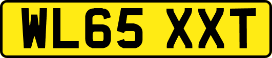 WL65XXT