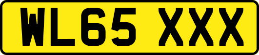 WL65XXX