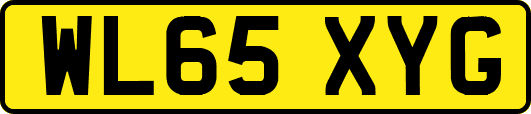 WL65XYG