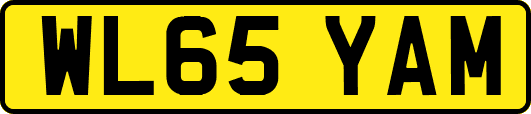WL65YAM
