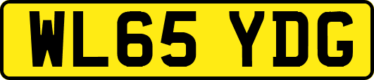 WL65YDG