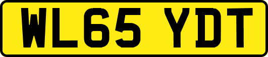 WL65YDT