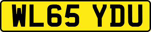 WL65YDU
