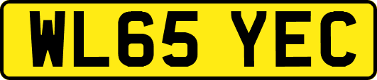 WL65YEC