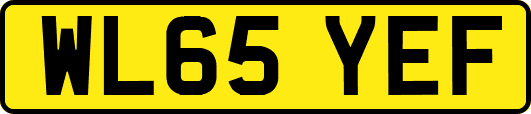 WL65YEF