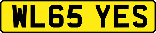 WL65YES