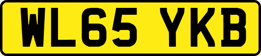WL65YKB