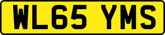 WL65YMS