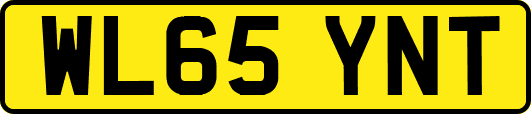 WL65YNT