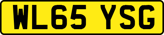 WL65YSG