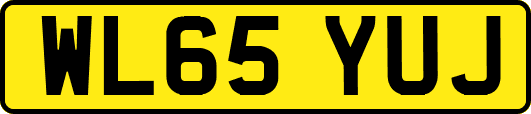 WL65YUJ
