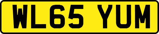 WL65YUM