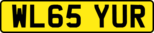 WL65YUR