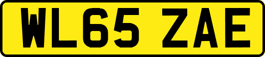 WL65ZAE