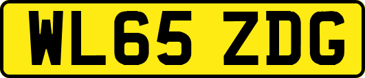 WL65ZDG