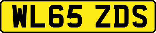 WL65ZDS