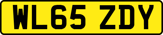 WL65ZDY