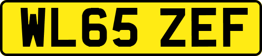 WL65ZEF