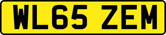 WL65ZEM