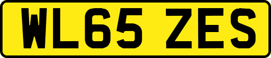 WL65ZES