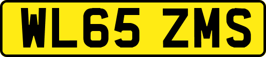 WL65ZMS