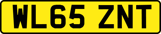 WL65ZNT