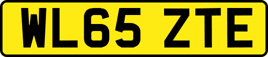 WL65ZTE