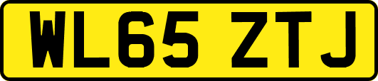WL65ZTJ