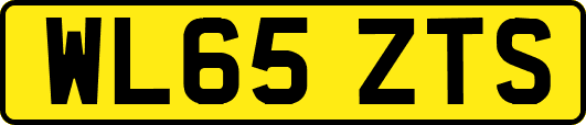 WL65ZTS