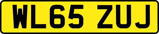 WL65ZUJ