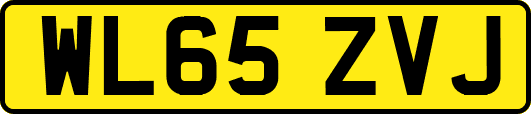 WL65ZVJ