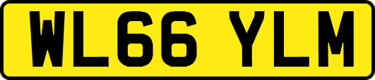 WL66YLM