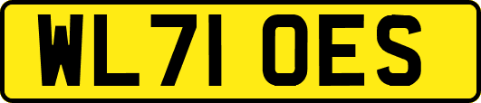 WL71OES