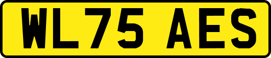 WL75AES