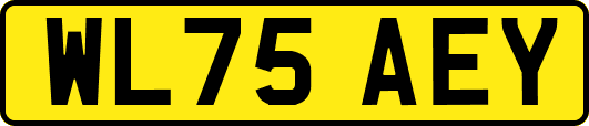 WL75AEY