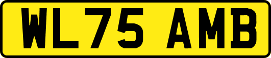 WL75AMB