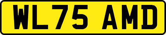 WL75AMD