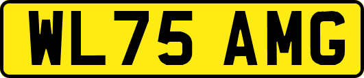 WL75AMG