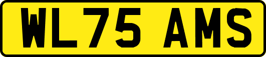 WL75AMS