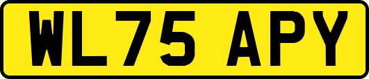 WL75APY