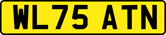 WL75ATN