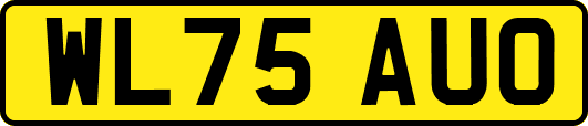 WL75AUO