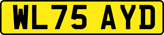 WL75AYD